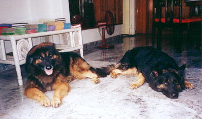 Father and son having a lazy afternoon