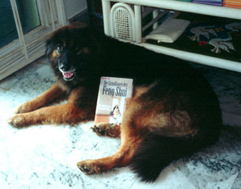 Joey posing with Mummy's book