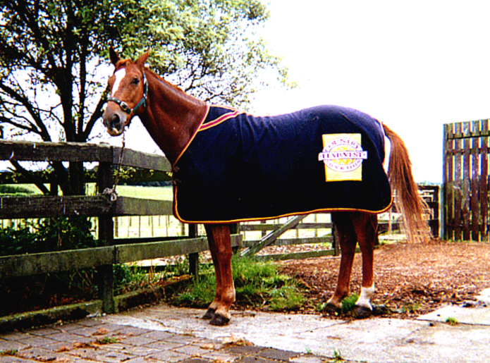 B.J. at Landview Farm