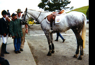 Chamonae and the family at Kelly Park, NZ.