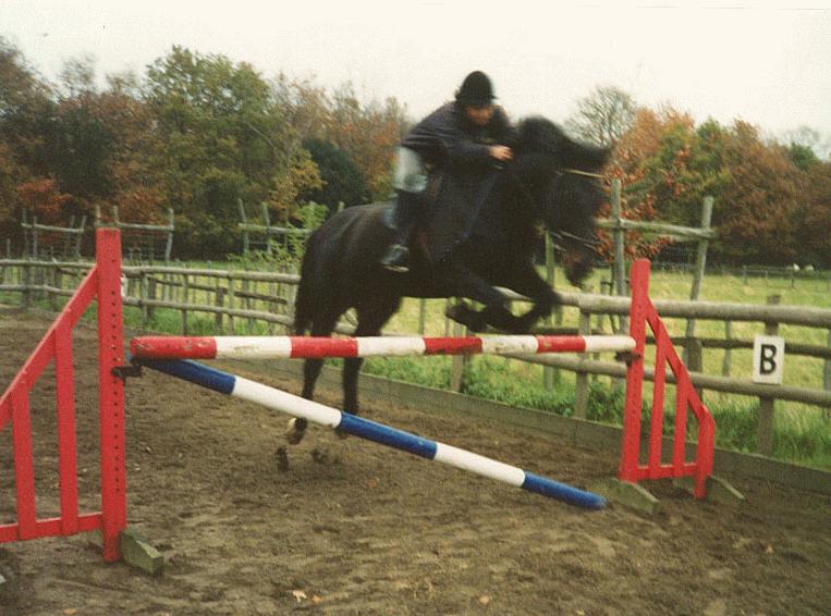 Jumping Donovan at Appletree, UK.